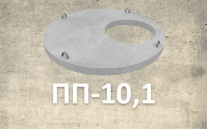 ПП 10,1
